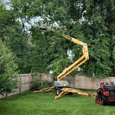 Best Hedge Trimming  in Wayland, MI